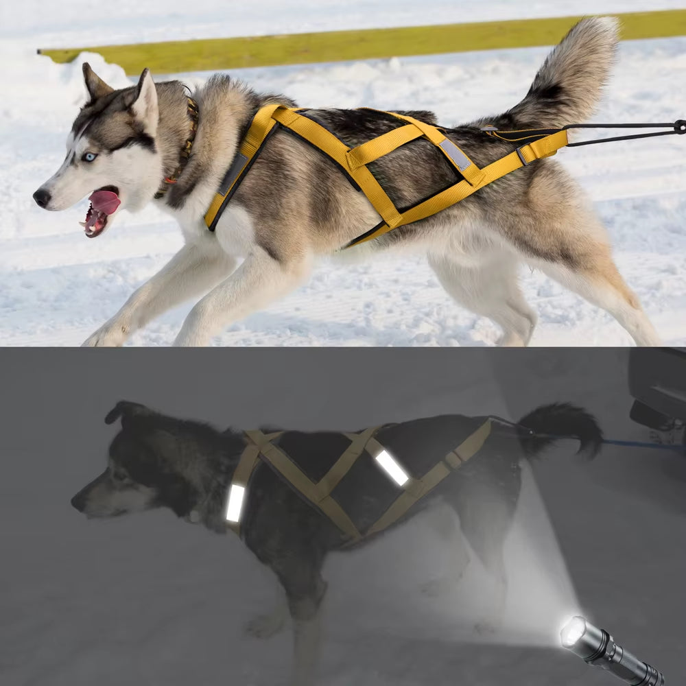 Dog Clothing/Harness
