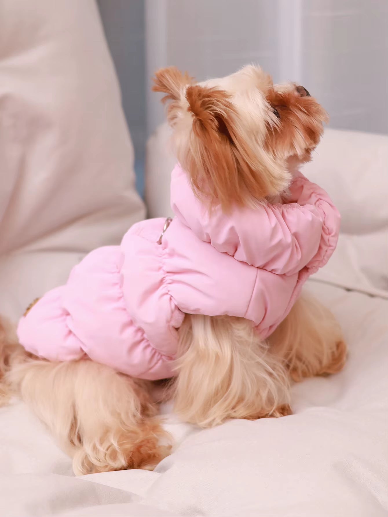 Dog Jacket for Autumn/Winter, Pet Coat, 3-Layer Thick Warm Outerwear, Suitable for Small to Medium Dogs like Poodle, Teddy, York