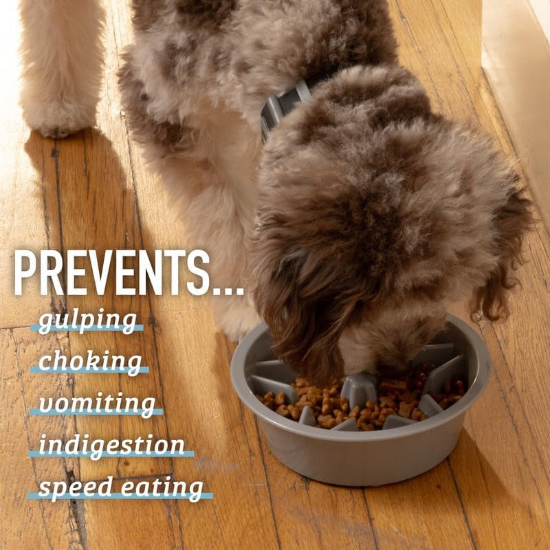 Interactive Blue Puzzle Slow Feeder Dog Bowl – 2 Cup Capacity for Healthy Eating, Perfect for All Breeds and Elevated Feeders