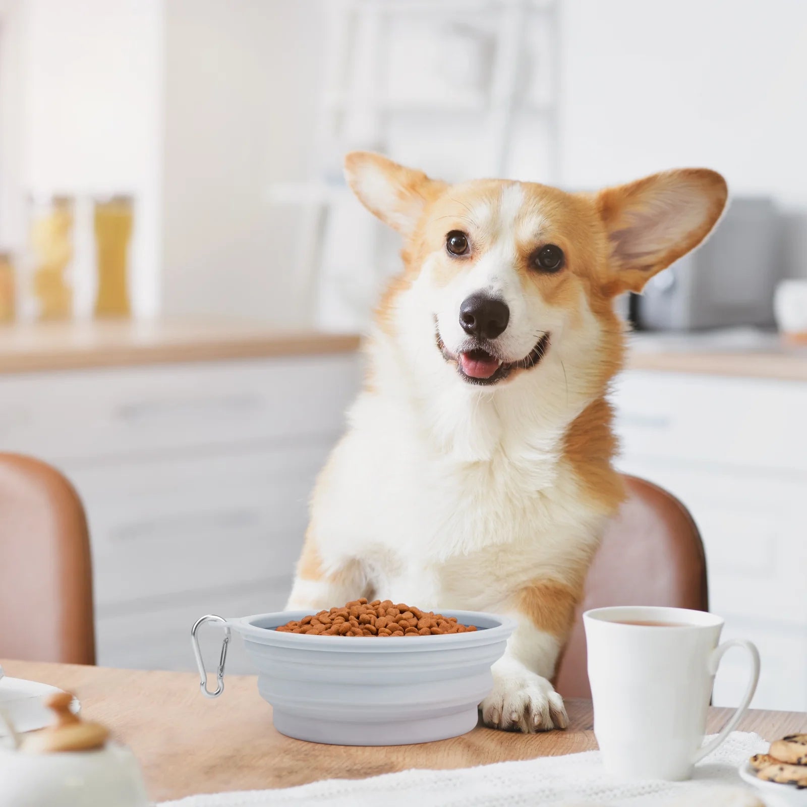 Premium Portable Collapsible Dog Bowls - 2 Pack (Blue) for Travel & Camping with Carabiner Clip