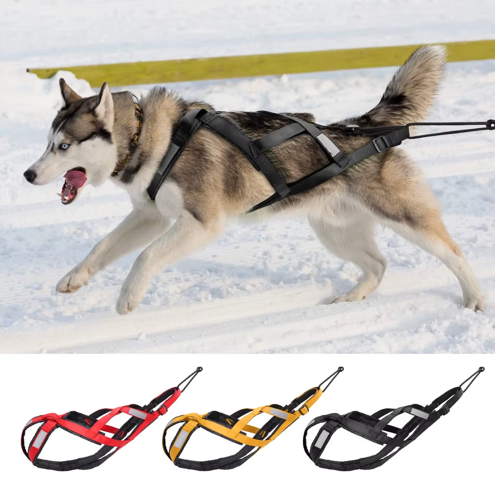 Waterproof Dog Sledding Harness Reflective Pet Sledding Skijoring Harness Big Large Dogs Weight Pulling Vest for Pet Training