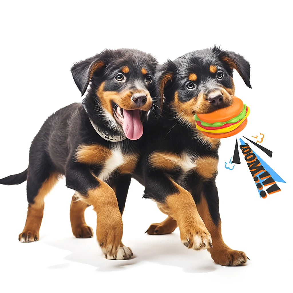 Durable Squeaky Hamburger Dog Toy for Aggressive Chewers - Natural Rubber Chew Toy for Puppies